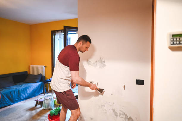 Best Industrial Mold Remediation in Pawnee, IL